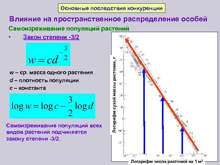 Пространство распределений