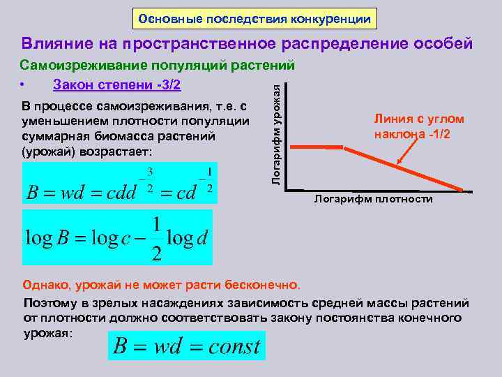 Основные последствия конкуренции Влияние на пространственное распределение особей В процессе самоизреживания, т. е. с