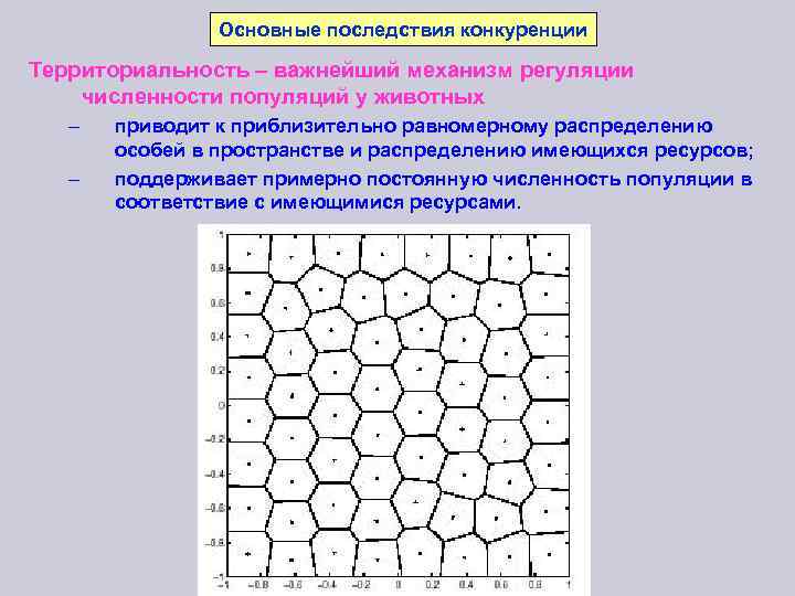 Основные последствия конкуренции Территориальность – важнейший механизм регуляции численности популяций у животных – –