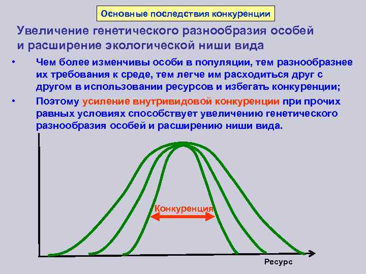 Экологическая ниша белки