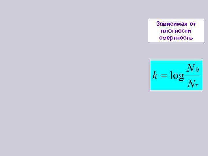 Зависимая от плотности смертность 