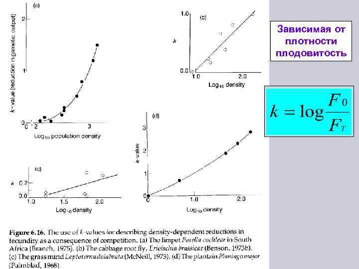 Зависимая от плотности плодовитость 