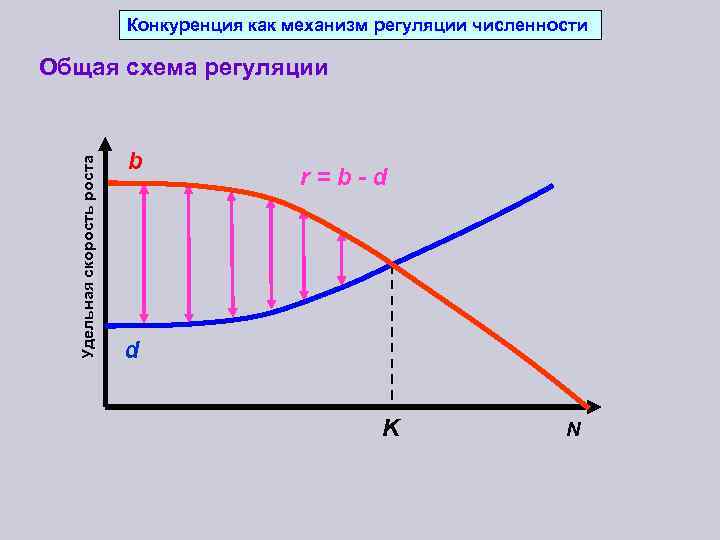 Конкуренция как механизм регуляции численности Удельная скорость роста Общая схема регуляции b r=b-d d