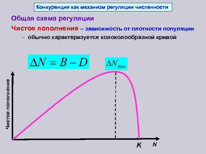 Конкуренция как механизм регуляции численности Общая схема регуляции Чистое пополнение – зависимость от плотности