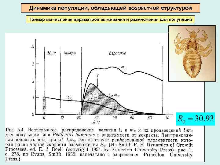 Характеристика популяции человека