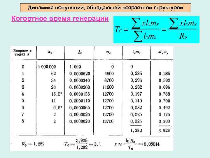 Динамика популяции, обладающей возрастной структурой Когортное время генерации 