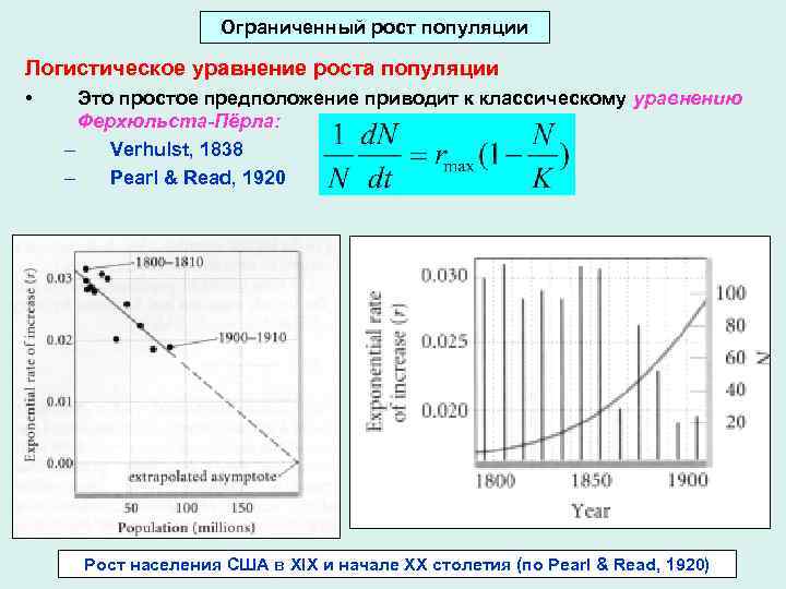 Ограниченный рост популяции Логистическое уравнение роста популяции • Это простое предположение приводит к классическому
