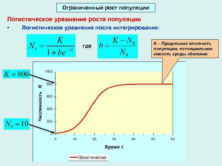 Рост популяции