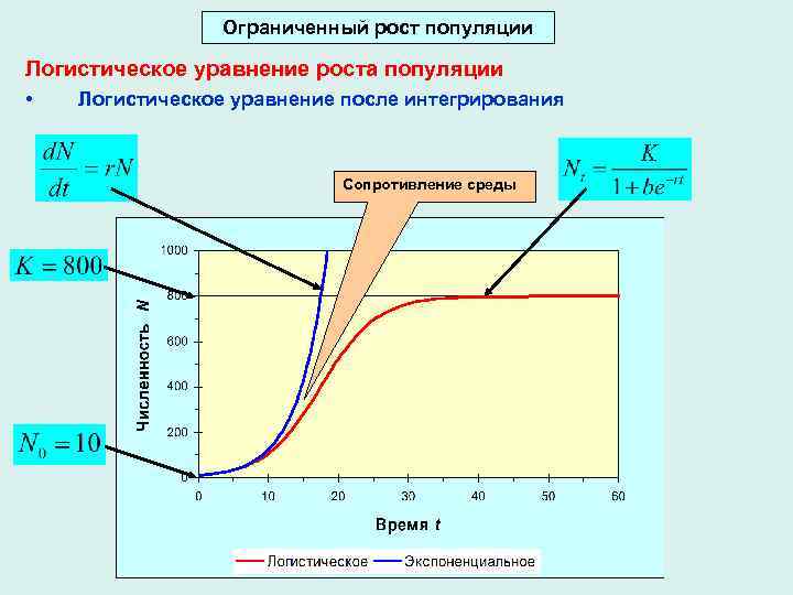 Ограниченный рост популяции Логистическое уравнение роста популяции • Логистическое уравнение после интегрирования Сопротивление среды