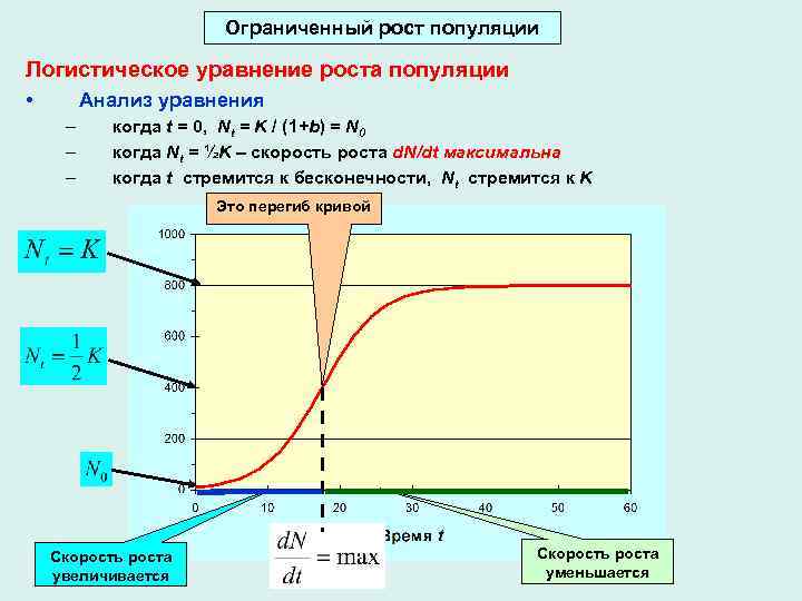 Ограничить рост. Уравнение роста популяции. Уравнение логистического роста популяции. Уравнение экспоненциального роста. Мгновенная скорость роста популяции.