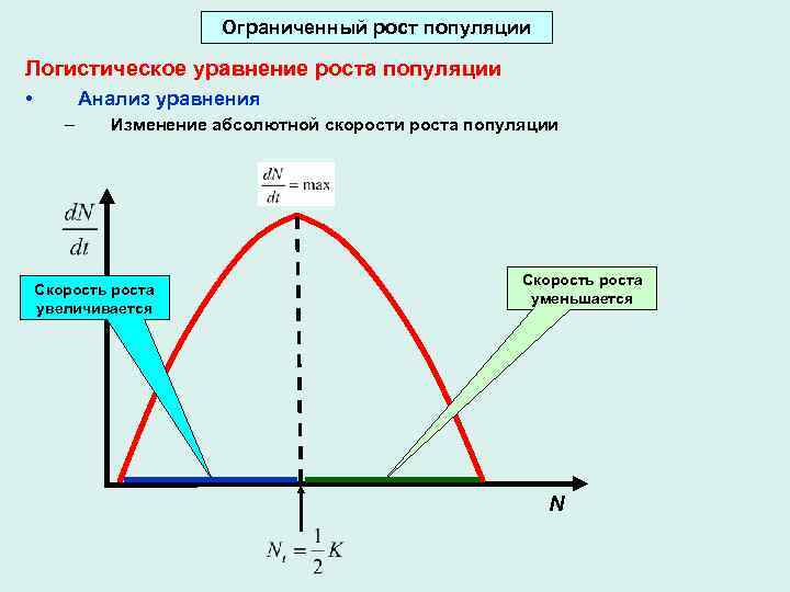 Рост популяции. Уравнение роста популяции. Уравнение логистического роста популяции. Скорость роста популяции. Скорость роста популяции формула.