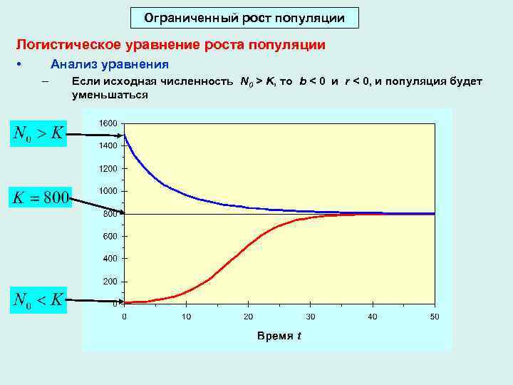 Рост популяции