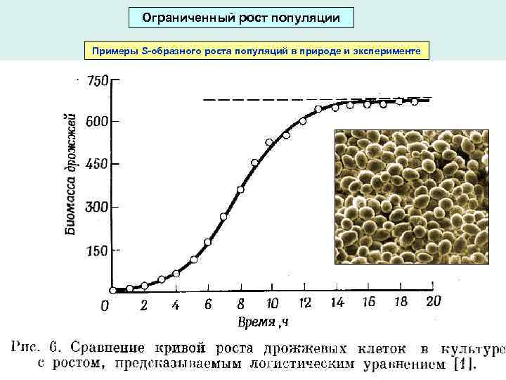 Определите по рисунку вид изоляции севанской форели приведший к образованию различных популяций