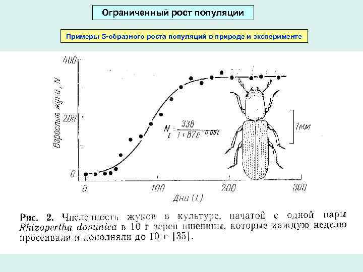 Ограниченный рост популяции Примеры S-образного роста популяций в природе и эксперименте 