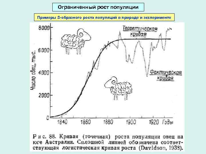 Ограничить рост