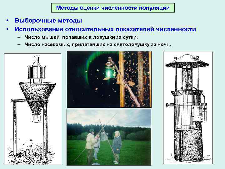 Методы оценки численности популяций • Выборочные методы • Использование относительных показателей численности – Число