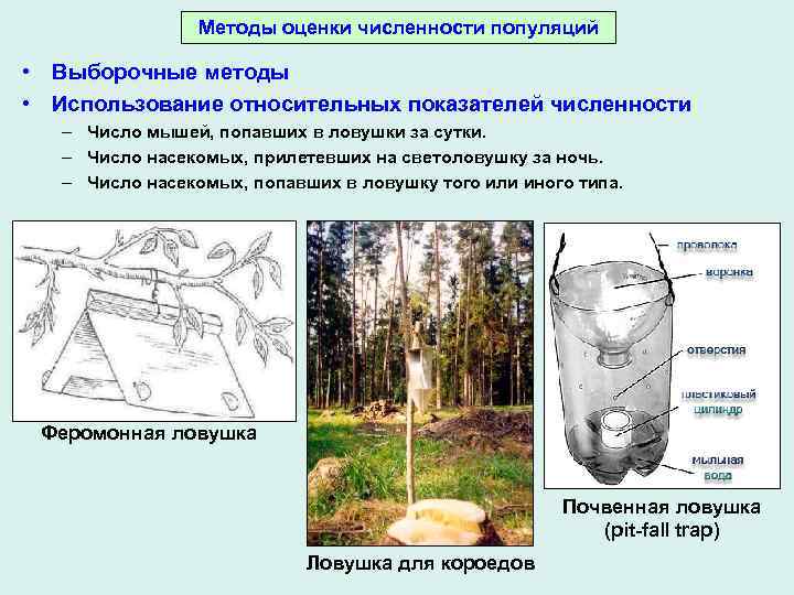 Методы оценки численности популяций • Выборочные методы • Использование относительных показателей численности – Число