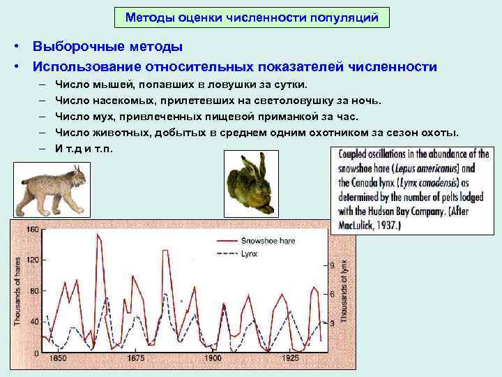 Что такое популяция