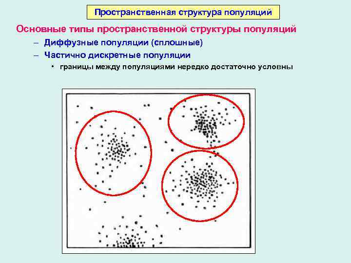 Структура популяции