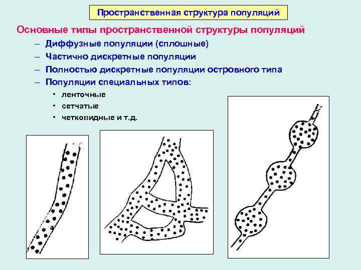 Рассмотрите рисунок что вы можете сказать о структуре данных популяций