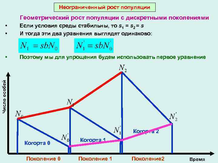 Неограниченный рост популяции Геометрический рост популяции с дискретными поколениями Если условия среды стабильны, то
