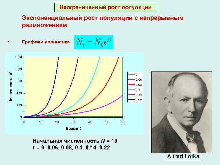 Неограниченный рост популяции Экспоненциальный рост популяции с непрерывным размножением • Графики уравнения Начальная численность