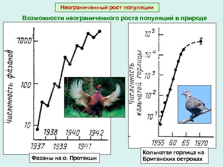 В популяции происходит. Рост популяции. Графики изменения численности популяций. Неограниченный рост.