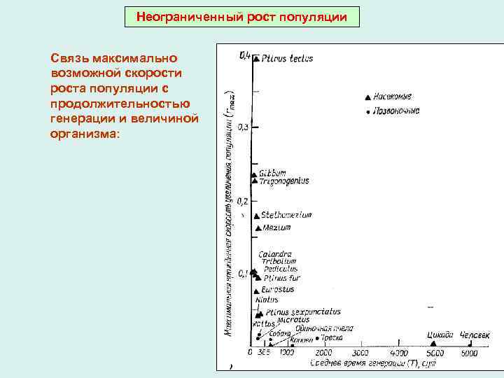 Неограниченный рост популяции Связь максимально возможной скорости роста популяции с продолжительностью генерации и величиной