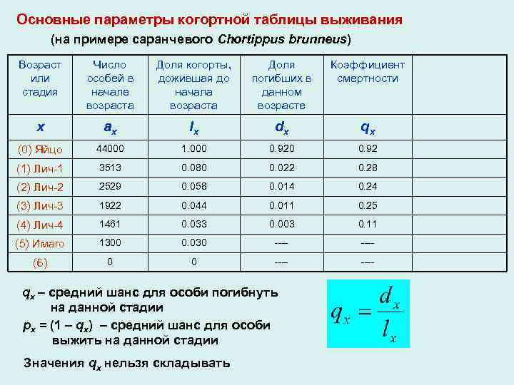 Основные параметры когортной таблицы выживания (на примере саранчевого Chortippus brunneus) Возраст или стадия Число