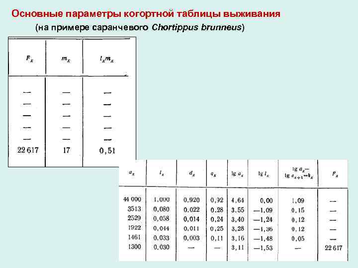 Основные параметры когортной таблицы выживания (на примере саранчевого Chortippus brunneus) 