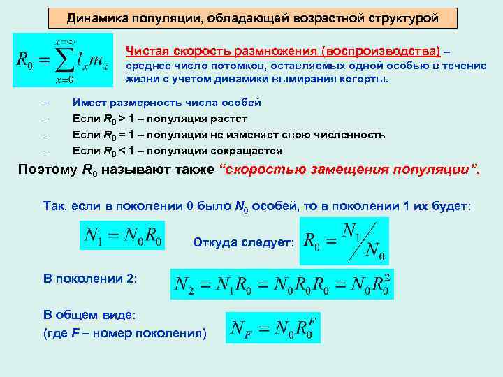 Динамика популяции, обладающей возрастной структурой Чистая скорость размножения (воспроизводства) – среднее число потомков, оставляемых