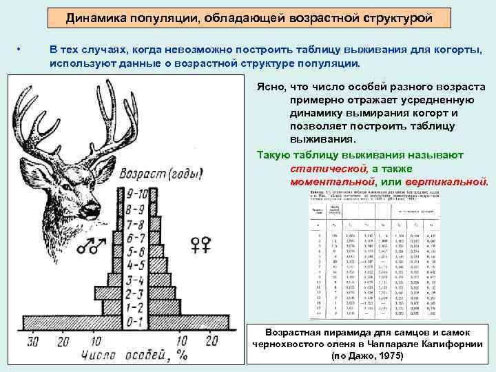 Вымирающая популяция схема