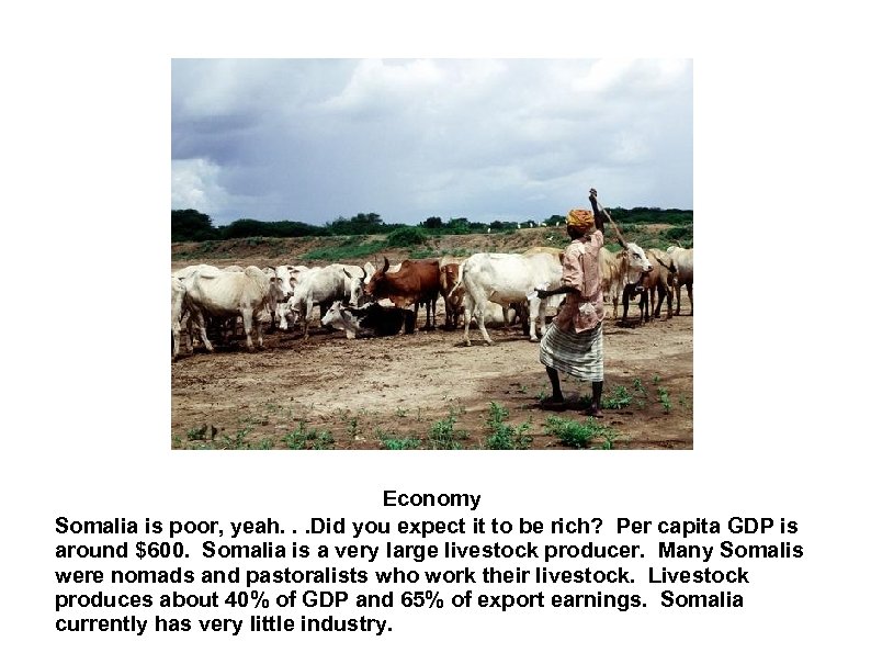 Economy Somalia is poor, yeah. . . Did you expect it to be rich?
