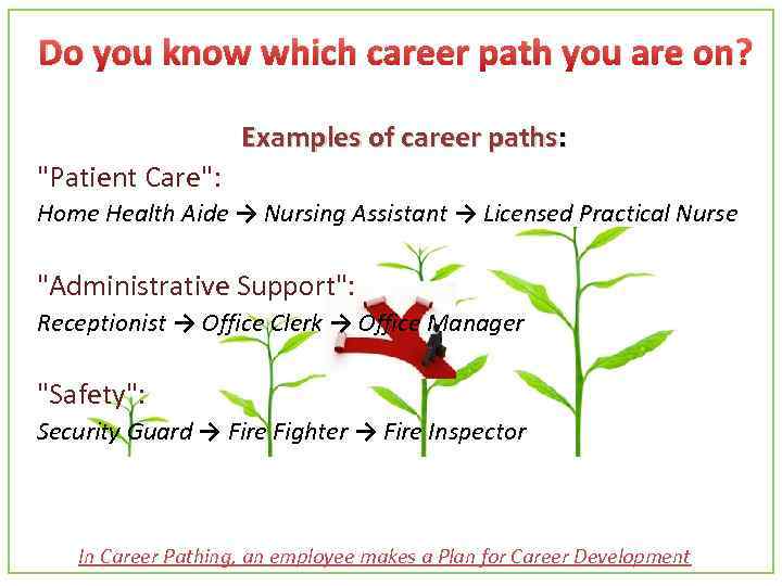 Do you know which career path you are on? Examples of career paths: "Patient