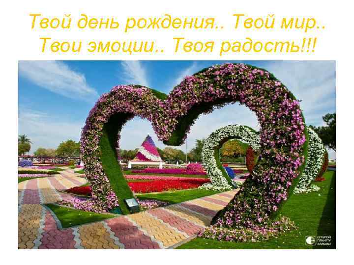 Твой день рождения. . Твой мир. . Твои эмоции. . Твоя радость!!! 