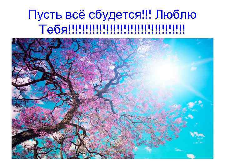 Пусть всё сбудется!!! Люблю Тебя!!!!!!!!!!!!!!!!! 