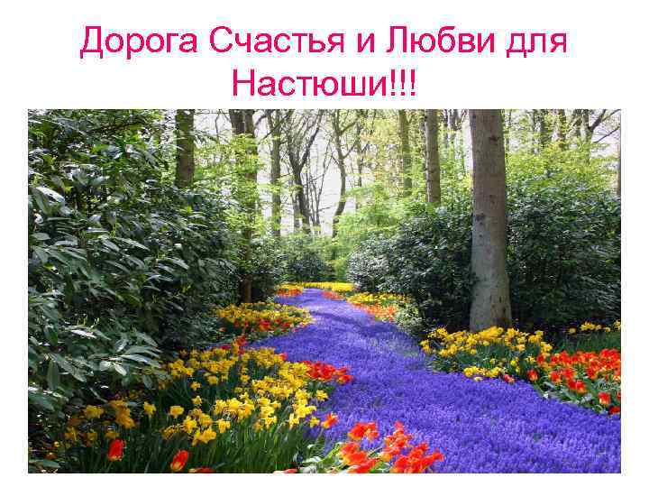 Дорога Счастья и Любви для Настюши!!! 