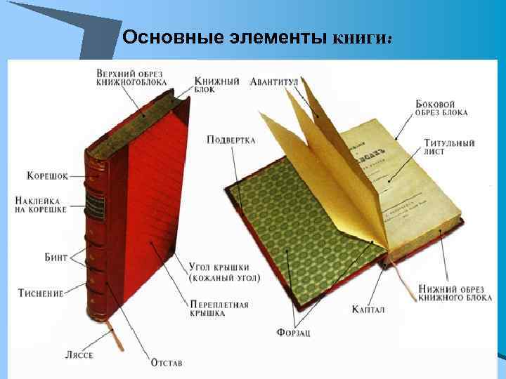 Основные элементы книги: 