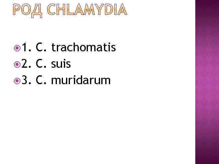  1. C. trachomatis 2. C. suis 3. C. muridarum 