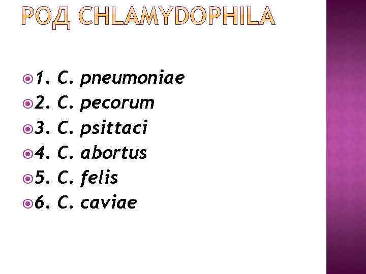  1. 2. 3. 4. 5. 6. C. C. C. pneumoniae pecorum psittaci abortus