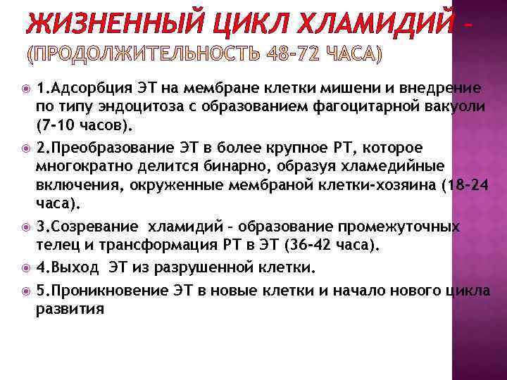 ЖИЗНЕННЫЙ ЦИКЛ ХЛАМИДИЙ – 1. Адсорбция ЭТ на мембране клетки мишени и внедрение по