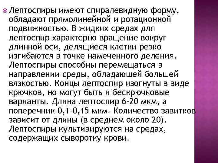  Лептоспиры имеют спиралевидную форму, обладают прямолинейной и ротационной подвижностью. В жидких средах для