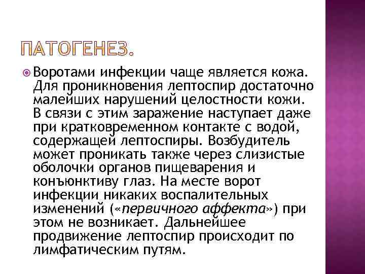  Воротами инфекции чаще является кожа. Для проникновения лептоспир достаточно малейших нарушений целостности кожи.