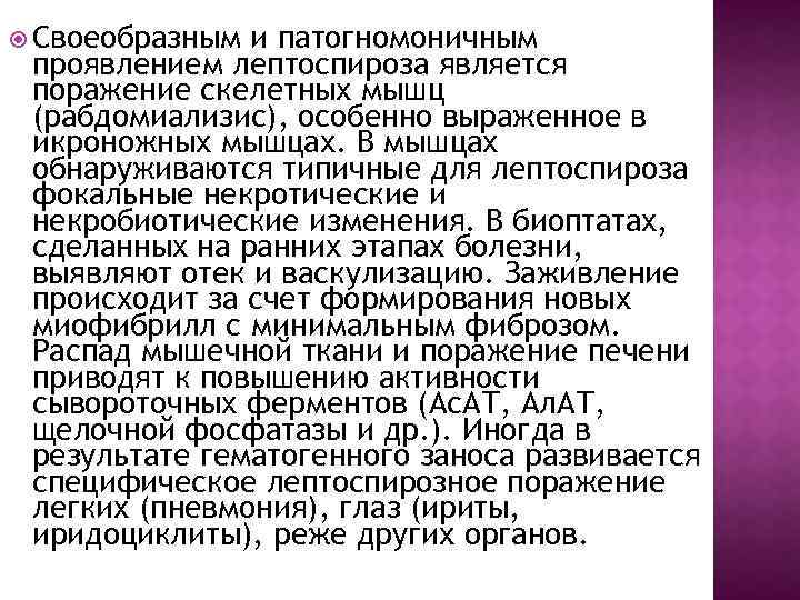  Своеобразным и патогномоничным проявлением лептоспироза является поражение скелетных мышц (рабдомиализис), особенно выраженное в