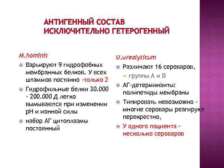 АНТИГЕННЫЙ СОСТАВ ИСКЛЮЧИТЕЛЬНО ГЕТЕРОГЕННЫЙ M. hominis Варьируют 9 гидрофобных мембранных белков. У всех штаммов