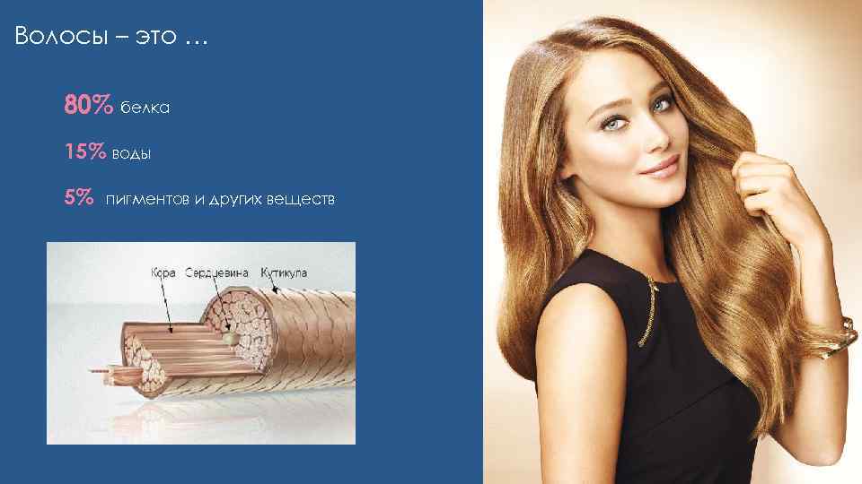 Волосы – это … 80% белка 15% воды 5% пигментов и других веществ 