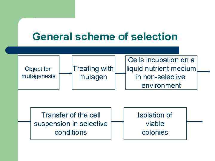 General scheme of selection Object for mutagenesis Treating with mutagen Transfer of the cell