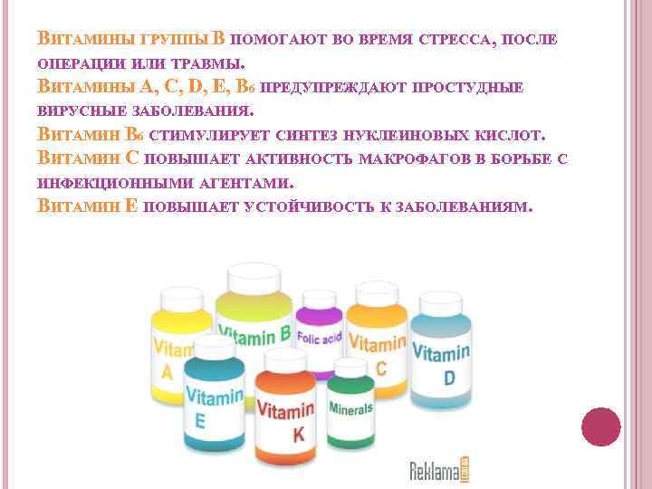 ВИТАМИНЫ ГРУППЫ B ПОМОГАЮТ ВО ВРЕМЯ СТРЕССА, ПОСЛЕ ОПЕРАЦИИ ИЛИ ТРАВМЫ. ВИТАМИНЫ A, C,