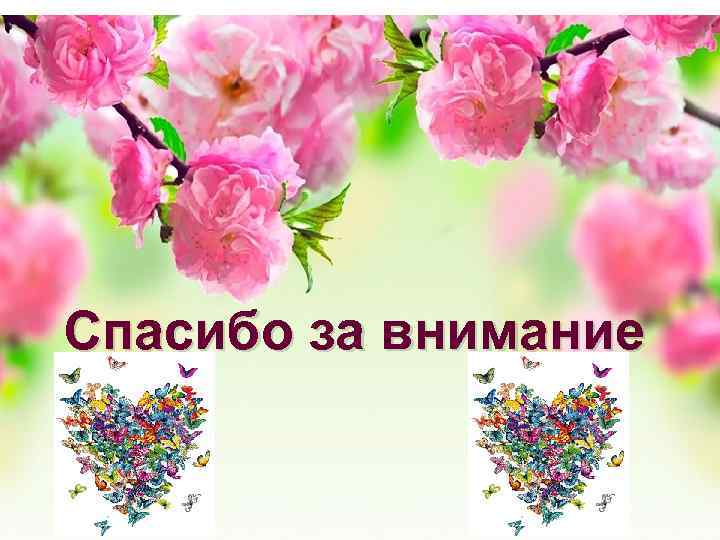 Спасибо за внимание 