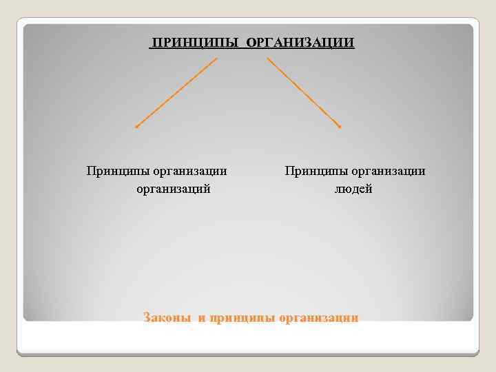 ПРИНЦИПЫ ОРГАНИЗАЦИИ Принципы организации организаций Принципы организации людей Законы и принципы организации 